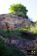 Badberg-Massiv bei Oberbergen im Kaiserstuhl, Baden-Württemberg, (D) (11) 10. Mai 2015 Karbonatit-Aufschluß.JPG